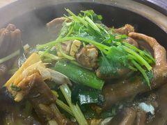 鹅掌鱼头煲-苏记餐厅(叠南店)