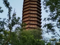 -西海子公园