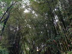 -竹海听涛生态山庄