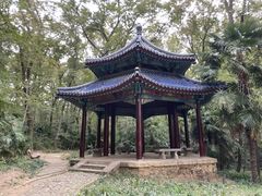 -灵谷景区