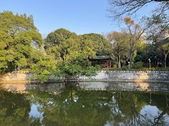 -柳侯公园