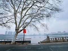 -李公堤