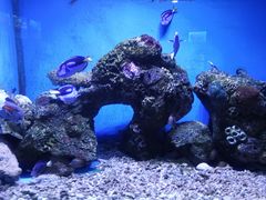-大连老虎滩海洋公园