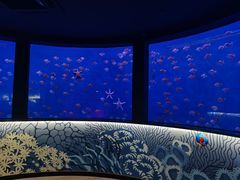 -沈阳海洋探索中心