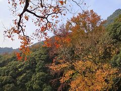 -富春桃源风景区
