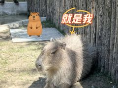 -鄂尔多斯野生动物园