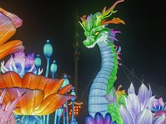 -花博汇(知音花月夜)