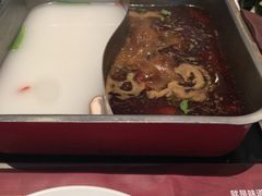 -新辣道鱼火锅(领展购物广场·中关村店)