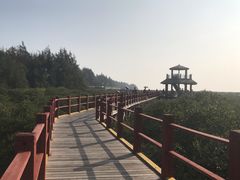 -北海金海湾红树林生态旅游区