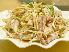 凉拌海兔-三乐海鲜水饺馆