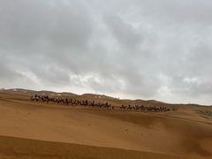 -达拉特旗响沙湾旅游区