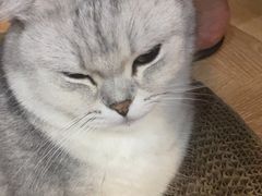 -悠米私人影院(街道口店)