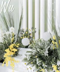 -明典婚礼策划·婚车租赁·婚纱摄影