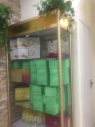 -苗塑堂减肥艾灸