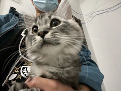 -PETKIT 小佩宠物·低压洗护·美容·寄养(安远店)