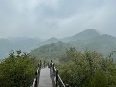 -大岭沟猕猴桃谷风景区
