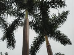 -广州市白云山风景名胜区