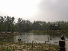 -合肥滨湖国家森林公园