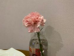 -宝生月子中心·独栋独院式(南山店)