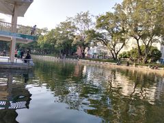 -晓港公园