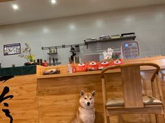 -柴务处·柴犬主题狗咖