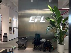 -EFL巴西柔术·综合格斗·泰拳·少儿体能训练(虹桥德必馆)