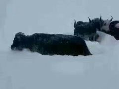 景点-墨石公园景区