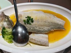 非一般鲈鱼-有璟阁港式餐厅(国贸商城店)