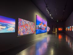 -罗红摄影艺术馆