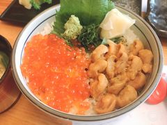 海胆鱼子盖饭-金井日本料理(丽柏广场店)