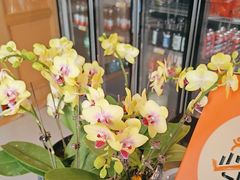 -生态苑农庄(十里画廊遇龙河店)