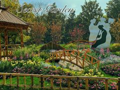 -上海共青森林公园