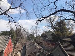 -大觉寺-停车场