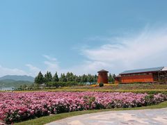 -君乐宝优致牧场