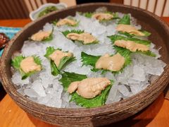 -月龍吟(朝龙汇店)