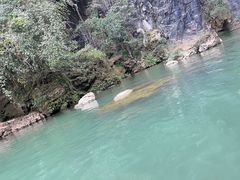 -英西峰林·洞天仙境
