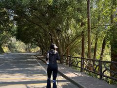 -大雁山风景区
