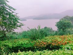 -天目湖涵田半山温泉