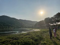 -风云岭森林公园