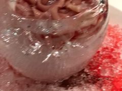 -蜀九香火锅(九眼桥店)