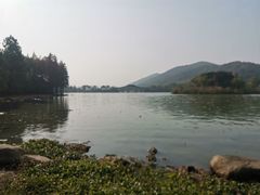 -长广溪湿地公园