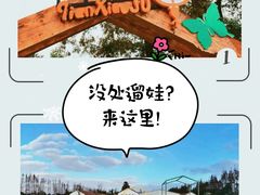 -前小桔亲子创意农场·草莓采摘·露营烧烤