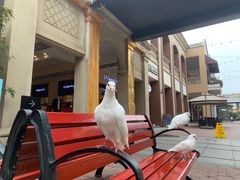 -王府井奥莱临潼小镇(临潼店)