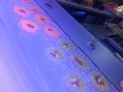 -豪德亨牛排自助餐厅(抚州东乡店)