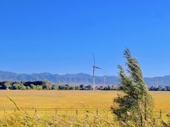 -野鸭湖国家湿地公园