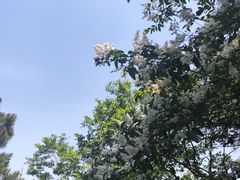 -敬亭山风景名胜区