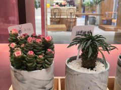 -二酉书店TOYOU BOOKS