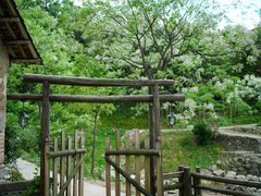 -萍乡武功山风景名胜区