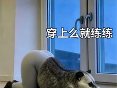 -英派斯健身(海信国际中心馆)