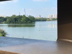 -海珠湖公园